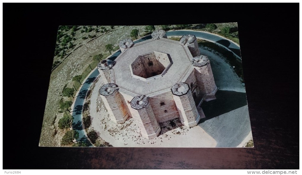 C-23384 CARTOLINA ANDRIA - CASTEL DEL MONTE - CASTELLI CASTELLO PANORAMA - Andria