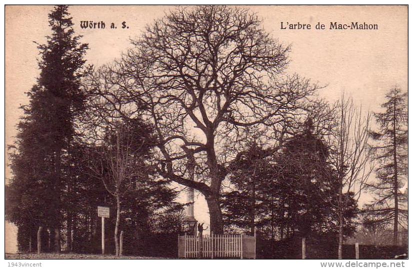 C 11290 - WORTH - Allemagne - L'arbre De Mac Mahon - Belle CPA - 19? - - Woerth