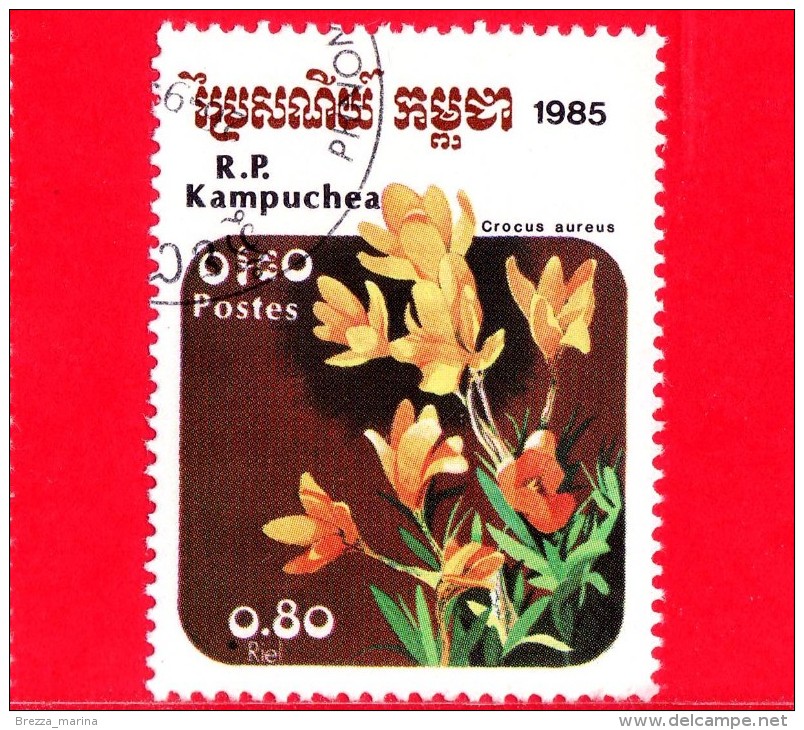 KAMPUCHEA - Cambogia - 1985 - Fiori - Flowers - Fleurs - Crocus Aureus - 0.80 - Kampuchea