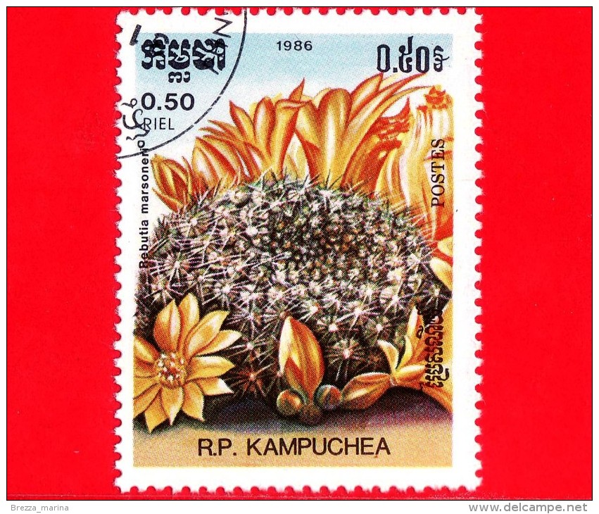 KAMPUCHEA - Cambogia - 1985 - Cactus - Rebutia Marsoneri - 0.50 - Kampuchea