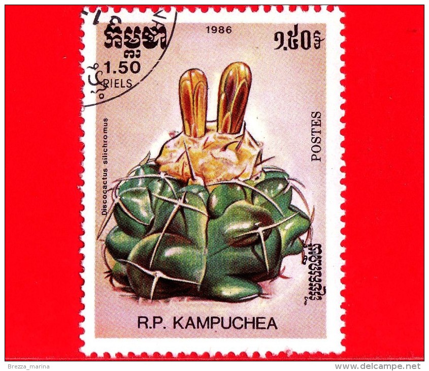 KAMPUCHEA - Cambogia - 1985 - Cactus - Discocactus Silichromus - 1.50 - Kampuchea