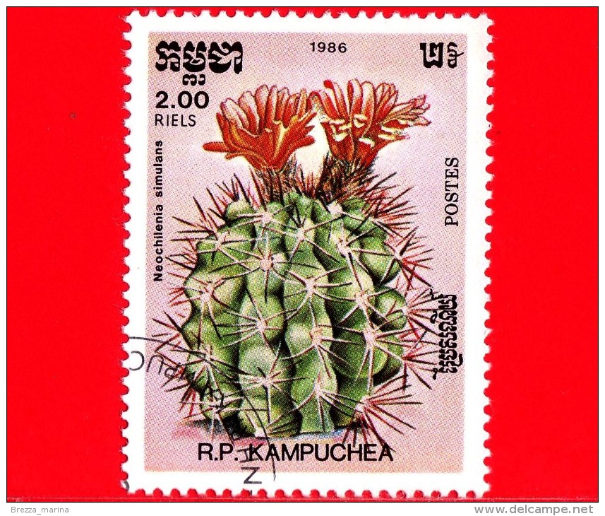 KAMPUCHEA - Cambogia - 1985 - Cactus - Neochilenia Simulans - 2.00 - Kampuchea