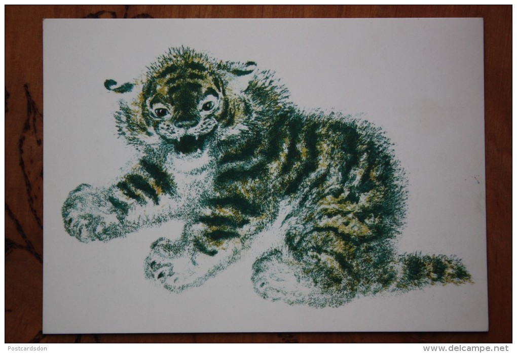 OLD USSR Postcard  - Charushin "Little Tiger"  1989 - Tigers