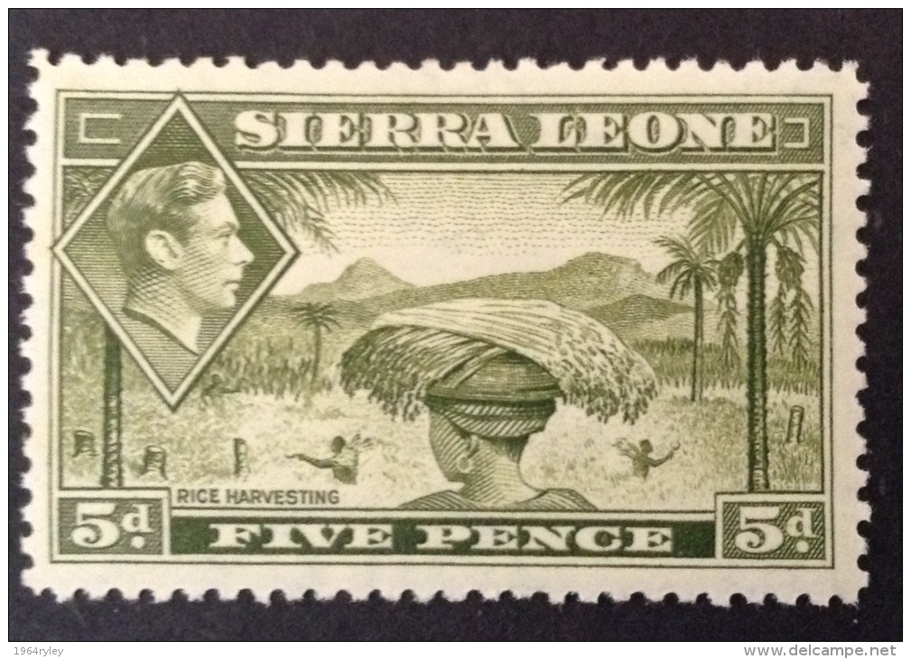 Sierra Leone MH* 1938-1944 Sc 179 SG 179 - Sierra Leone (...-1960)
