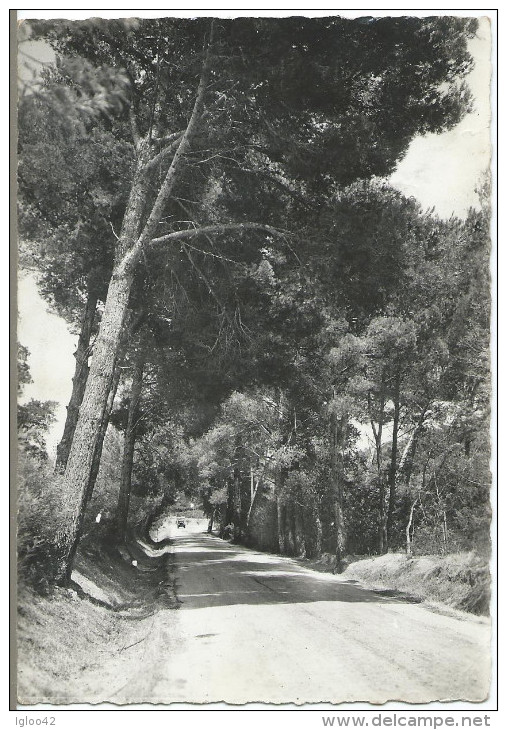 CAVALAIRE SUR MER - L' Entrée - Cavalaire-sur-Mer