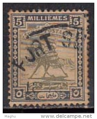 5m  Sudan Used 1948, Camel - Soudan (...-1951)