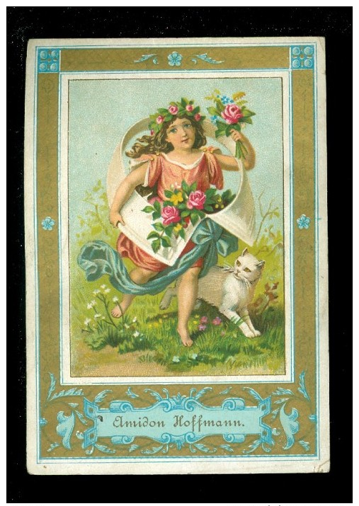 Calendrier  Calendar  Kalender 1886  Amidon Hoffmann  -  Chat  Kat - Petit Format : ...-1900