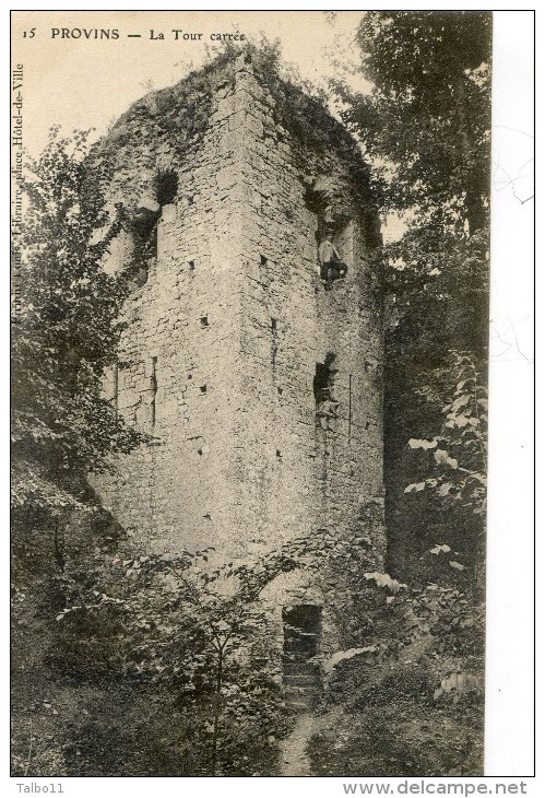 Provins - La Tour Carrée - Provins