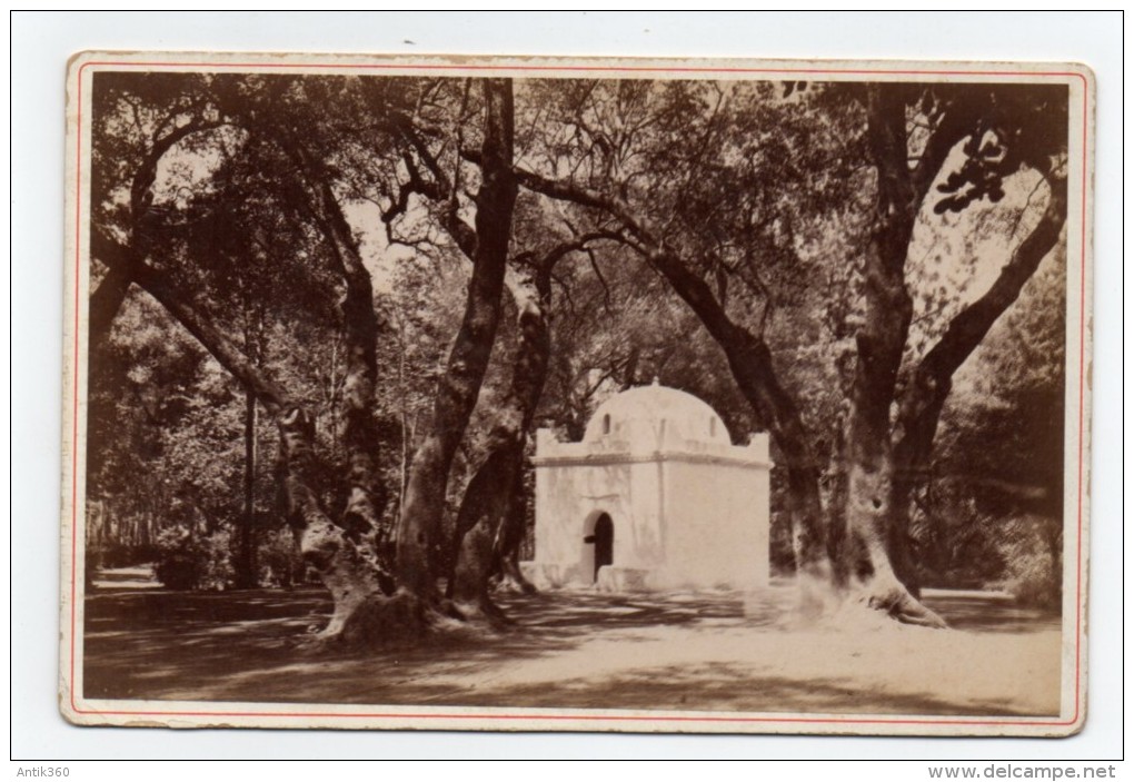 Photographie Albuminée XIXème Algérie Tombeau Musulman Dans Un Jardin - Afrique