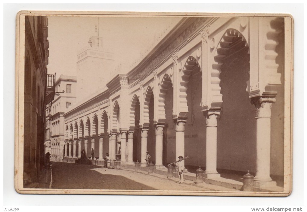 Photographie Albuminée XIXème Algérie Alger Mosquée Djemaa Djedid - Afrique