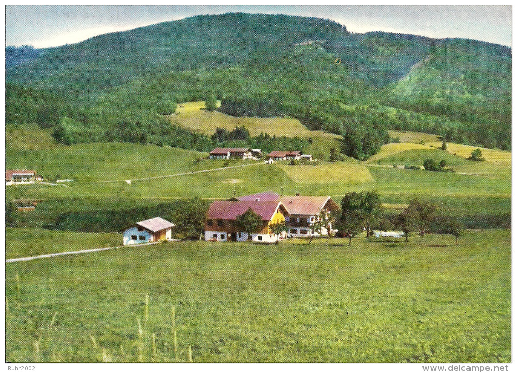 Alte AK Frossee Bei Inzell, Jugendheim Des Kreises Schaumburg-Lippe (60er Jahre) - Ruhpolding