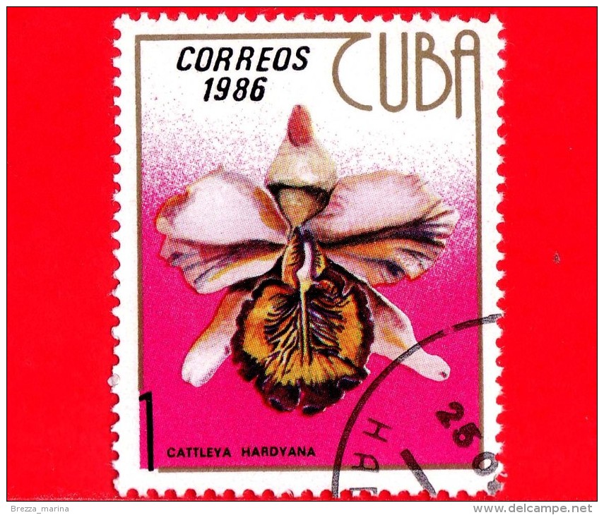 CUBA - 1986 - Fiori - Flowers - Fleurs - Orchidee - Cattleya Hardyana - 1 - Nuovi