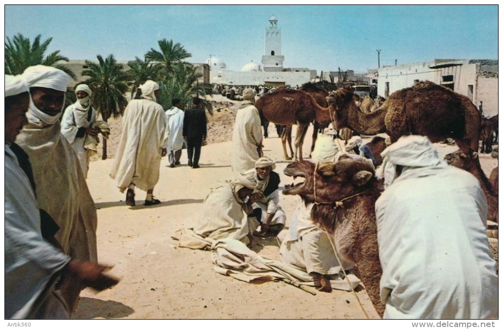 CPM ALGERIE El-Oued - Souk Aux Chameaux, Animée - El-Oued