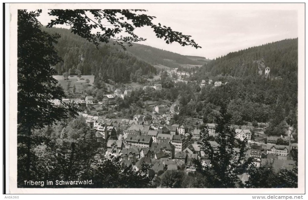 CPSM ALLEMAGNE Triberg Im Scwarzwald - Triberg