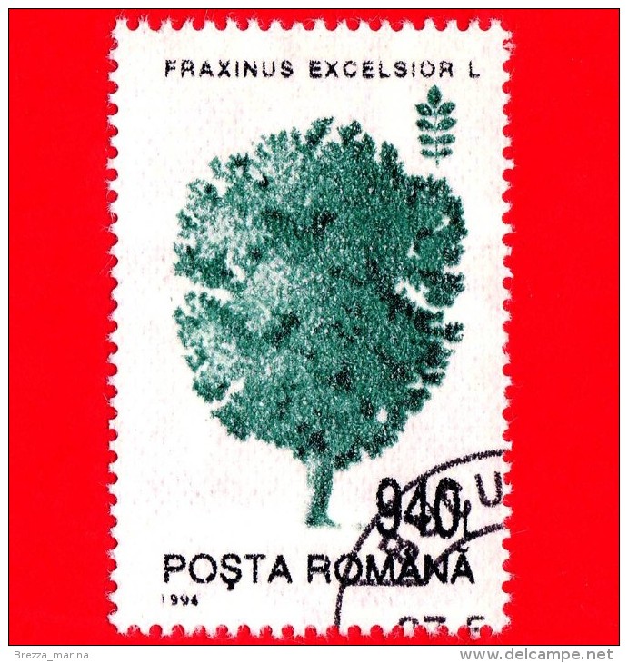 ROMANIA - 1994 - Alberi - Piante - Frassino (Fraxinus Excelsior) - 940 - Used Stamps