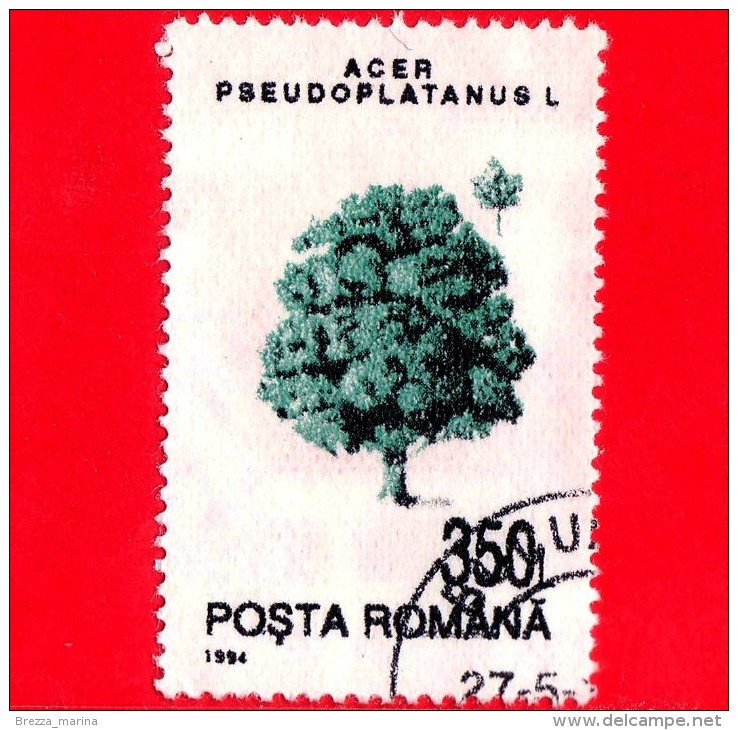 ROMANIA - 1994 - Alberi - Piante - Grande Acero (Acer Pseudoplatanus) - 350 - Oblitérés