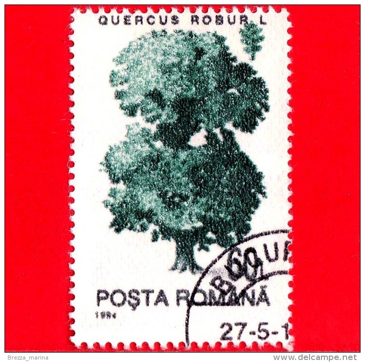 ROMANIA - 1994 - Alberi - Piante - Quercia (Quercus Robur) - 60 - Usado