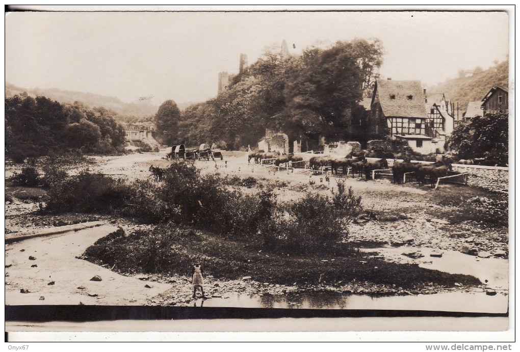 Carte Postale Photo ALTWIED-NEUWIED (Allemagne) Vue Village Avec Chevaux -Château-FOTO- 2 SCANS - - Neuwied