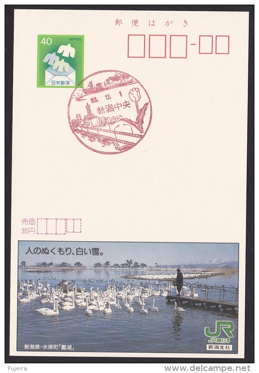 Japan Advertising Postcard, Lake, Swan, Niigata (jad2197) - Cartoline Postali