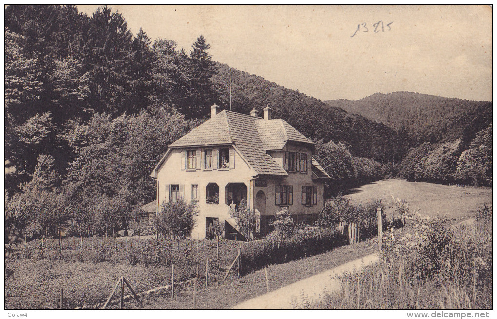 13275# THANN HAUT RHIN VALLEE DU STEINBY PENSION DE FAMILLE ROBERT BAUMBERGER CURE D' AIR AUX SAPINS ALSACE - Thann