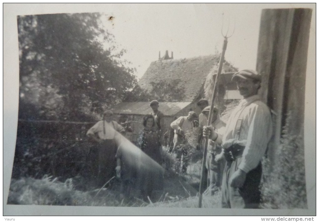 28  EURE ET LOIRE PHOTO  BATTEUSE LA MOISSON  SOUVENIR DE LA BATTERIE  LE 31 AOUT 1942 - Métiers