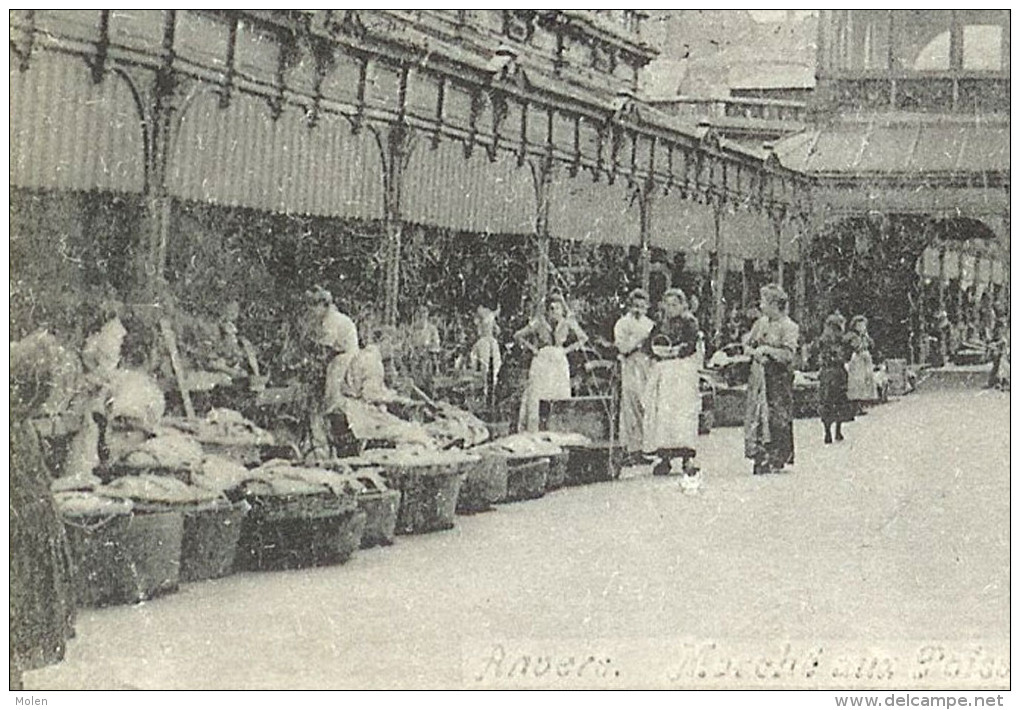 VIS-MARKT MARCHE AUX POISSONS : ANTWERPEN - MARKET MERCATO MERCADO            2856 - Marchés