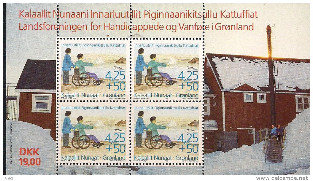 Greenland 1996 Handicapped Mi Bloc 11, MNH(**) - Gebruikt