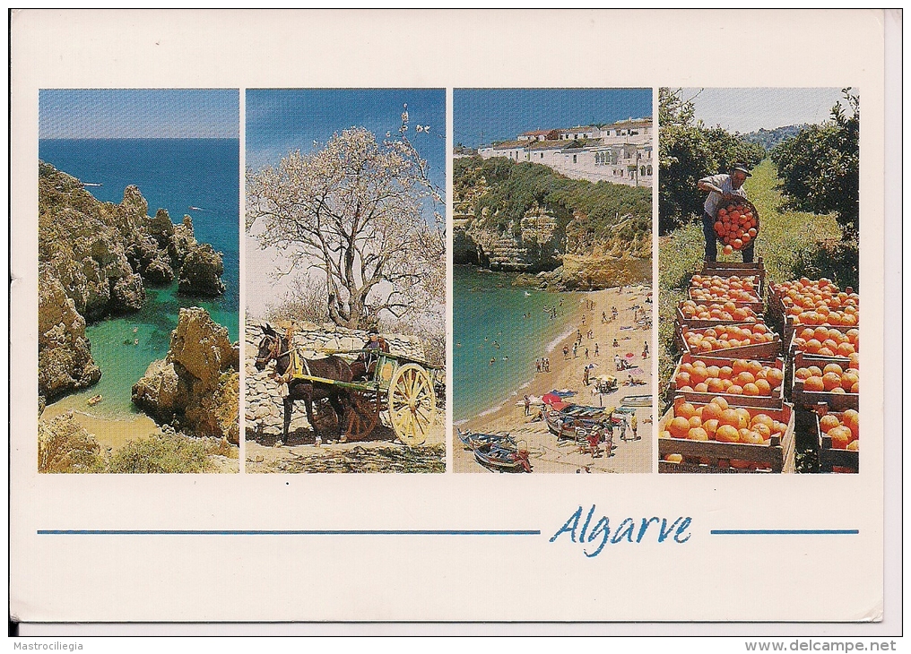 PORTUGAL  Skate  Nice Stamp  Algarve Postcard - Skateboard