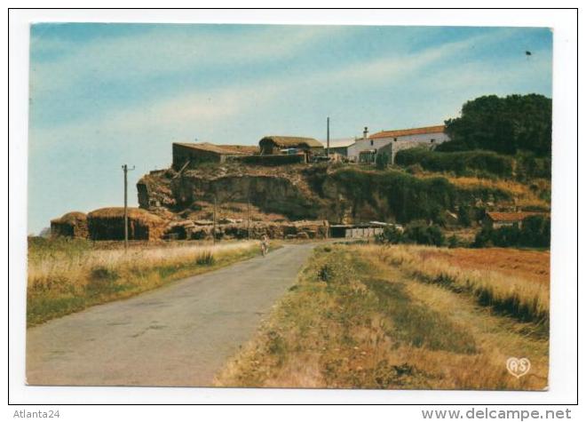 SAINT MICHEL EN L'HERM - ROCHER DE LA DIVES    (D85) - Saint Michel En L'Herm