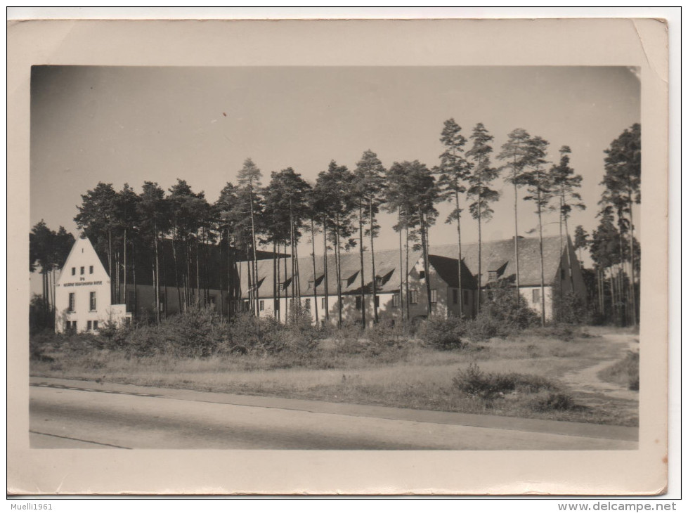 Nr. 2956,  AK  HO-Rasthof  Hermsdorfer Kreuz - Hermsdorf