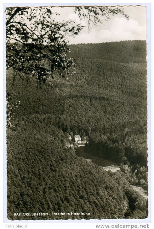 AK Bad Orb Im Spessart Forsthaus Haselruhe Deutschland Korr's Großverlag GERMANY Allemagne Ansichtskarte Postcard - Bad Orb