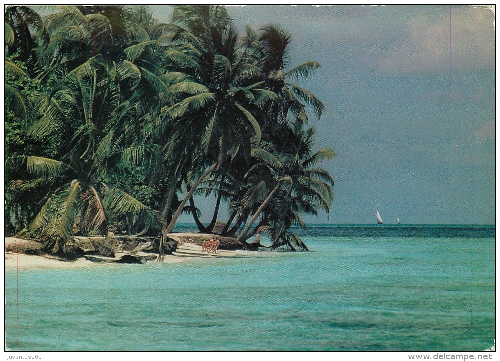 CPSM Les Maldives    L1836 - Maldives