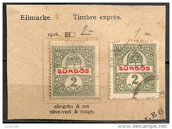 Timbres - Hongrie - Timbre Exprès - 1916 - 2 F. - - Unused Stamps