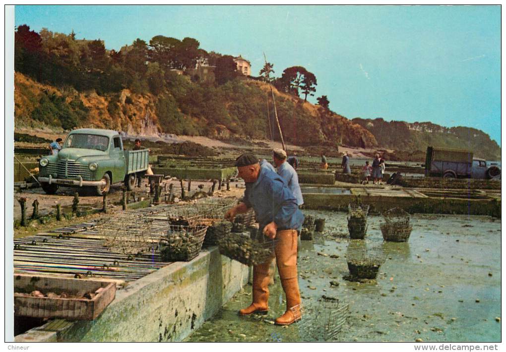 CANCALE LES PARCS A HUITRES - Cancale