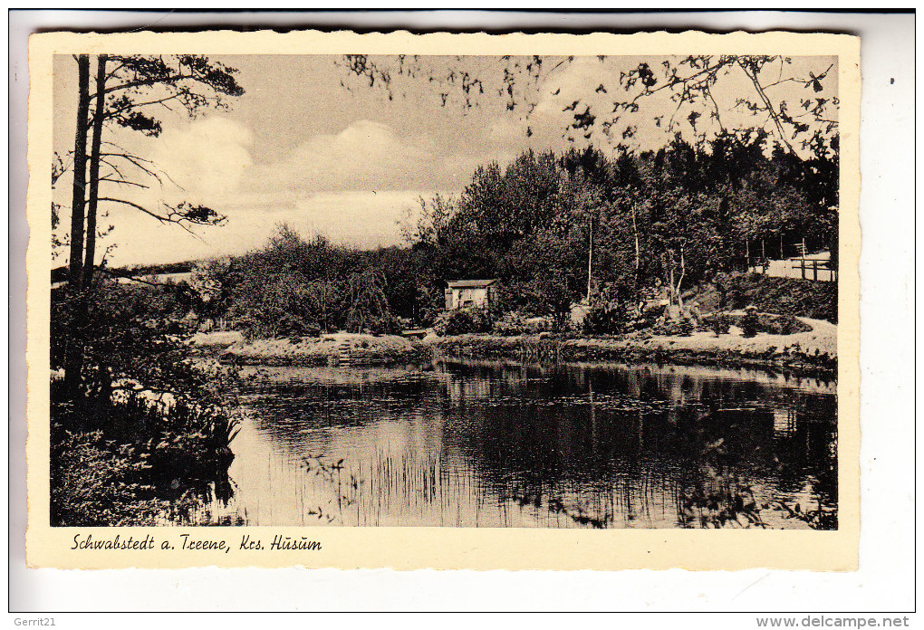 2251 SCHWABSTEDT, Teich - Nordfriesland