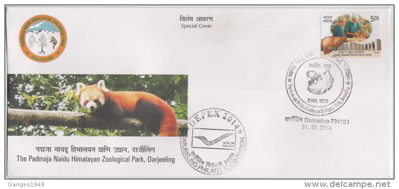 India 2014  HIMALAYAN PANDA  ZOOLOGICAL PARK , DARJEELING  Special Cover # 84018   Indien Inde - Osos