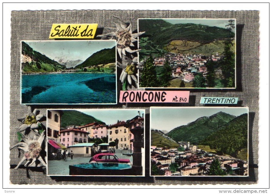 SALUTI DA RONCONE 1960 - VEDUTINE  -  C184 - Trento