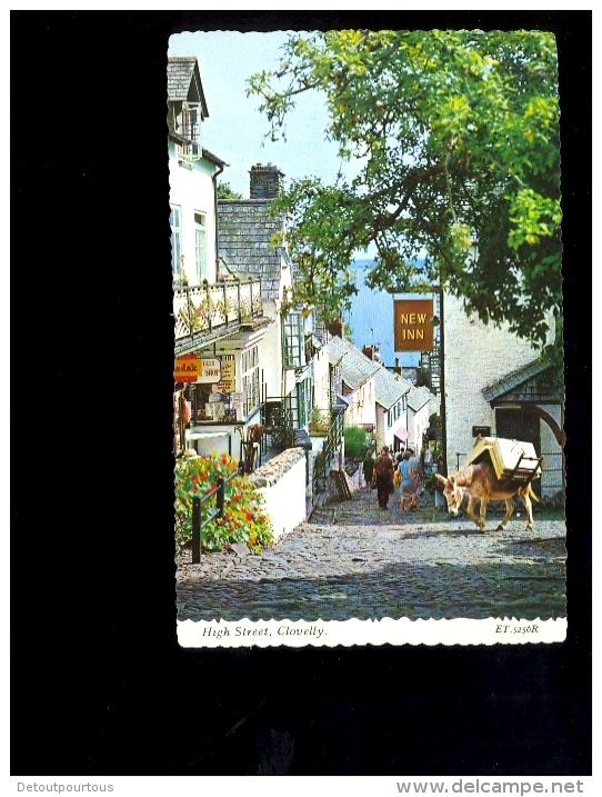 CLOVELLY  Devon :  The High Street ( Donkey Ane Esel Asino ) The New Inn - Clovelly