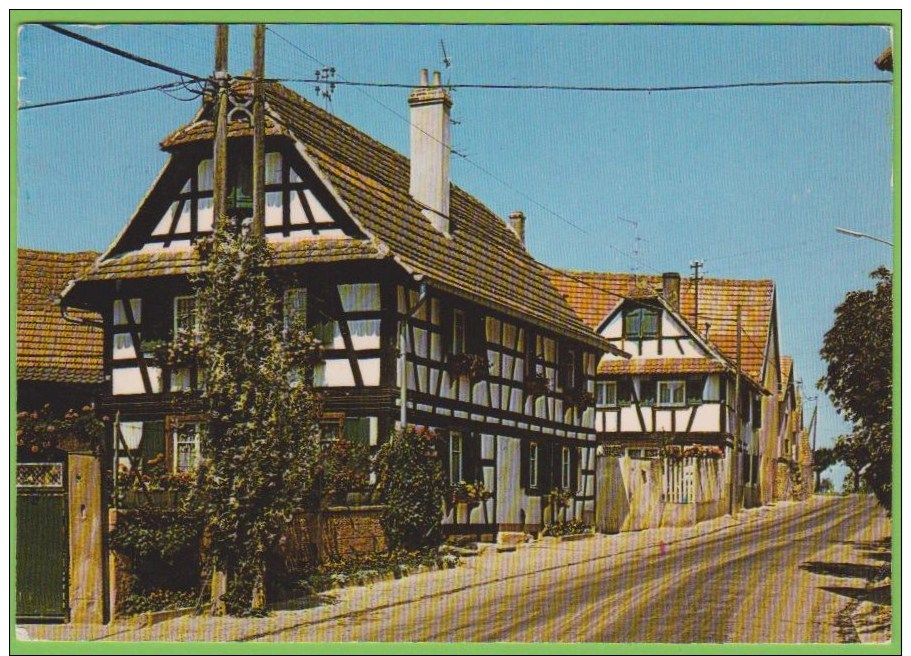 Kolbsheim Bas-Rhin La Maison Fleurie - Strasbourg