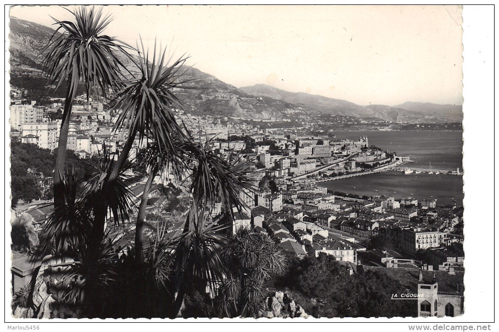 MONACO  - Vue Générale Prise Du Jardin Exotique (flamme)  Couronne Du Blason 1955 - Jardin Exotique