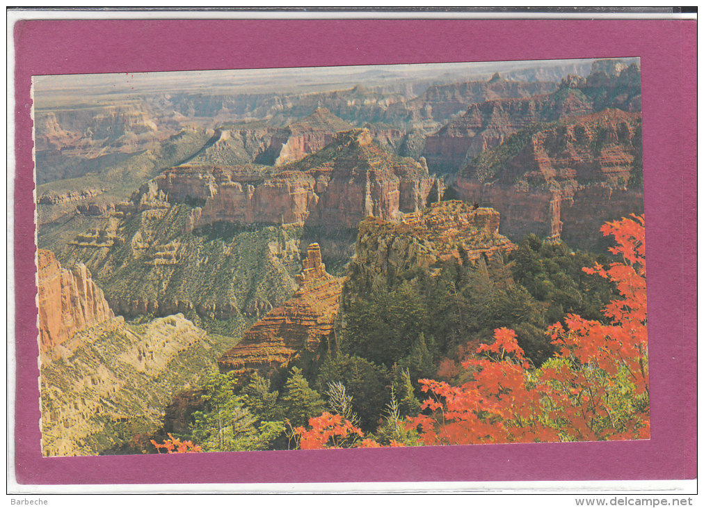 AUTUMN ON THE NORTH RIM Grand Canyon National Arizona - Autres & Non Classés