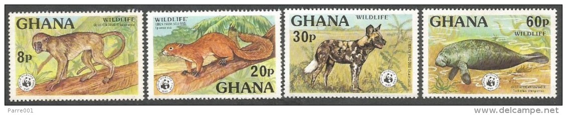 Ghana 1977  WWF Olive Colobus Monkey Ebien Palm Squirrel Wild Dog Manatee Michel 702A-705A Mint Set - Ghana (1957-...)