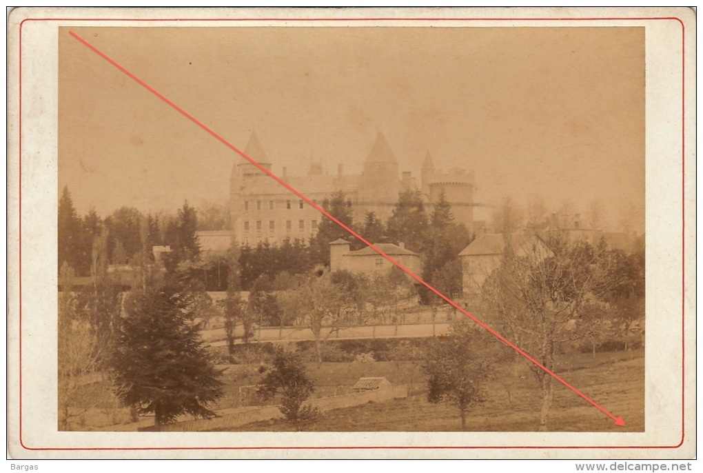 Photo Sur Carton 19èm Allier Vichy Et Environs Chateau De Bourbon Busset - Anciennes (Av. 1900)