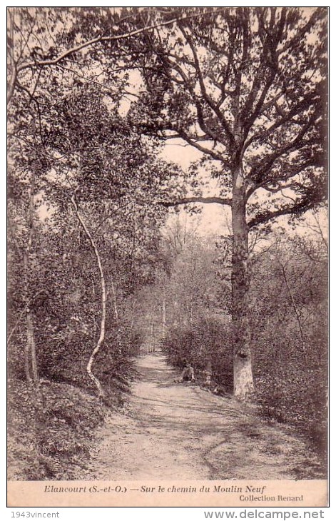 C 11353 - ELANCOURT - 78 -  Sur Le Chemin Du Moulin Neuf  - Belle CPA - 1910 - - Elancourt