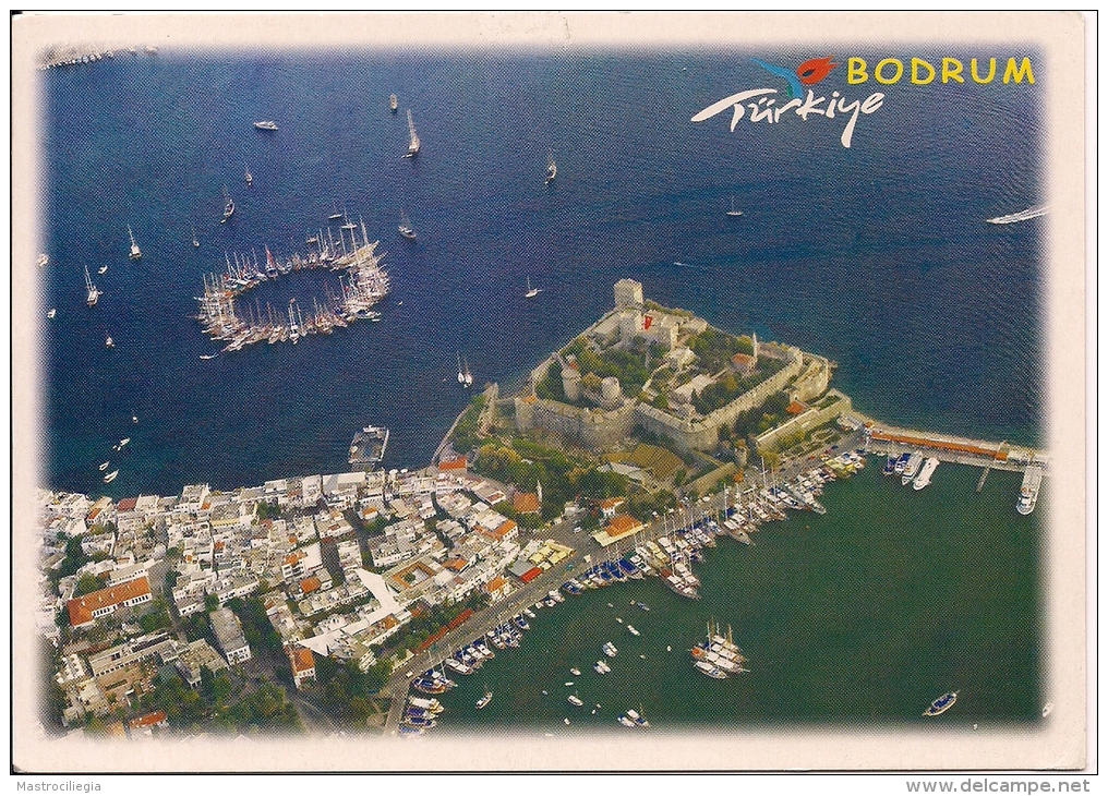 TURKIYE  Passer Domesticus  Postcard Bodrum - Moineaux