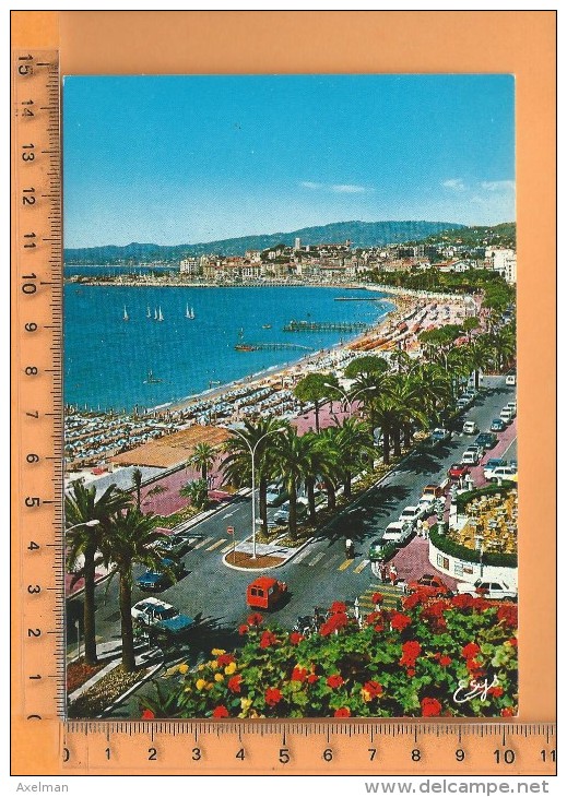 CPM, CANNES: La Croisette Et Le Suquet Vus Du Carlton - Cannes