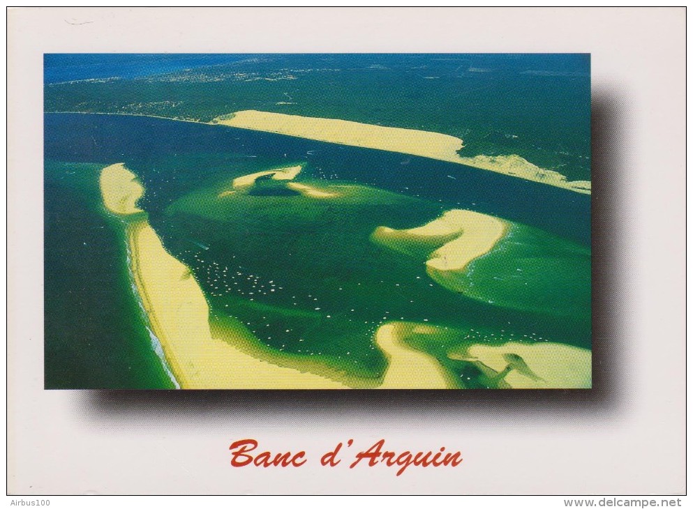 33 - LE BANC D'ARGUIN COINCÉ ENTRE LA DUNE DU PYLA ET LE CAP FERRET - 2 Scans - - Sonstige & Ohne Zuordnung