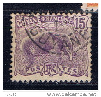 F+ Guyana 1904 Mi 54 Ameisenbär - Oblitérés