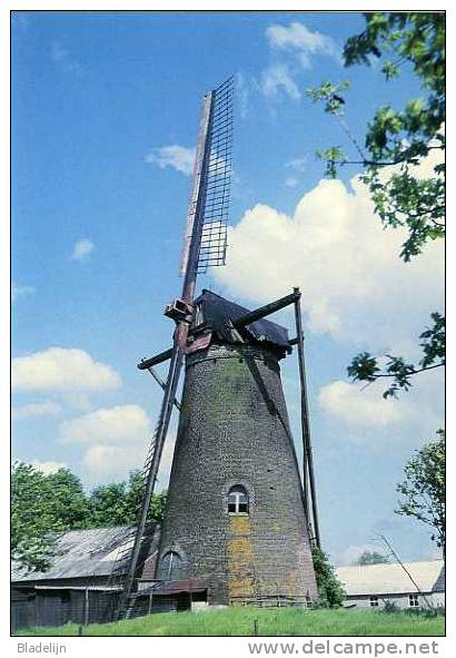 SCHAYK (N.Br.) - Molen/moulin - Historische Opname (1961) Van De Gewezen Molen 'Nooit Gedacht' Met Twee Wieken - Otros & Sin Clasificación