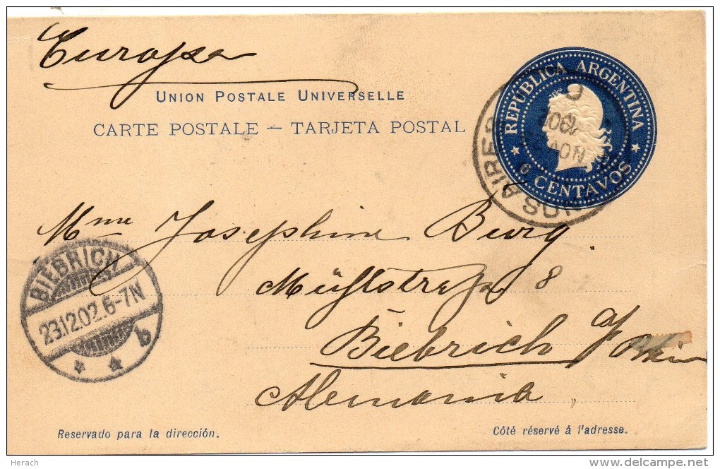 ARGENTINE ENTIER POSTAL POUR L'ALLEMAGNE 1902 - Enteros Postales
